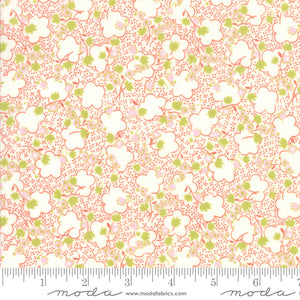 Fabric - Jen Kingwell - Moda - Fine and Sunny - Persimmon