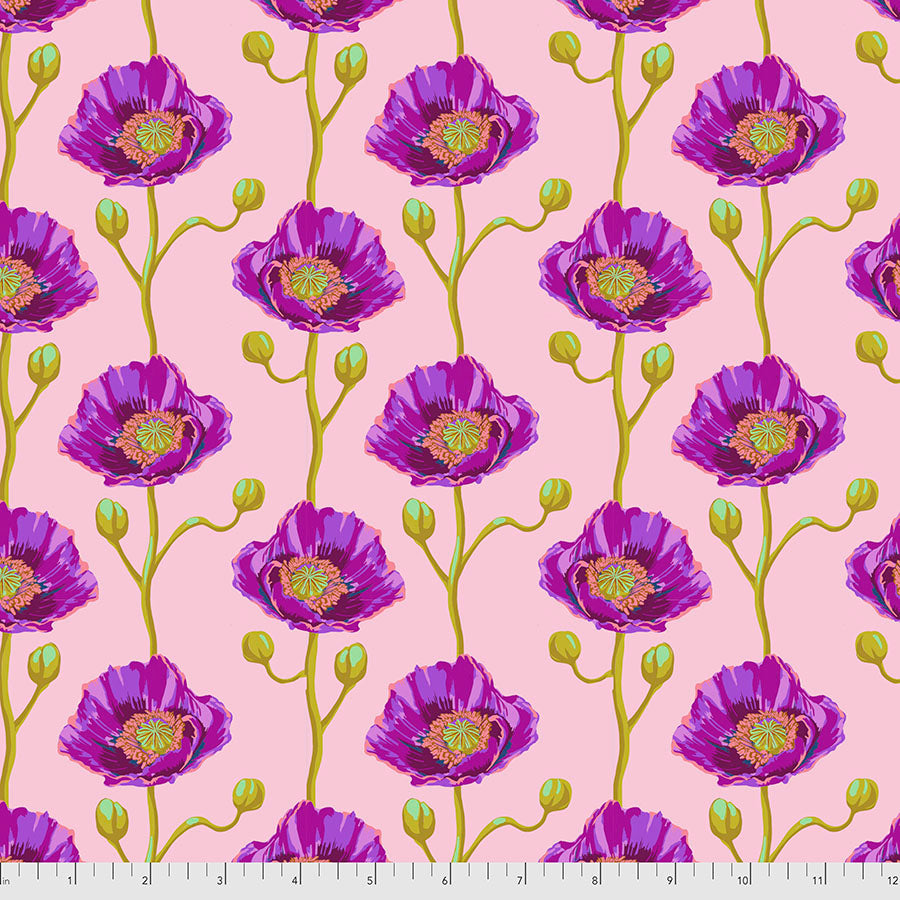 Bright Eyes by Anna Marie Horner - PWAH154.BLUSH - Cheering Section - Blush