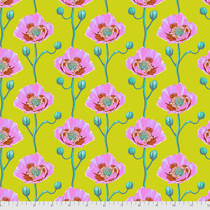 Bright Eyes by Anna Marie Horner - PWAH154.SUNNY - Cheering Section - Sunny