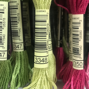 DMC Stranded Cotton Embroidery Thread - 3348