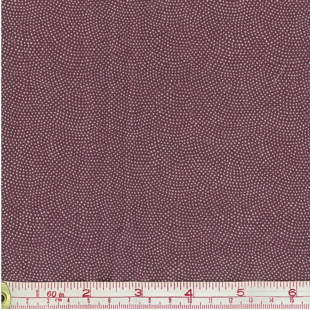 Clam Spot - Purple
